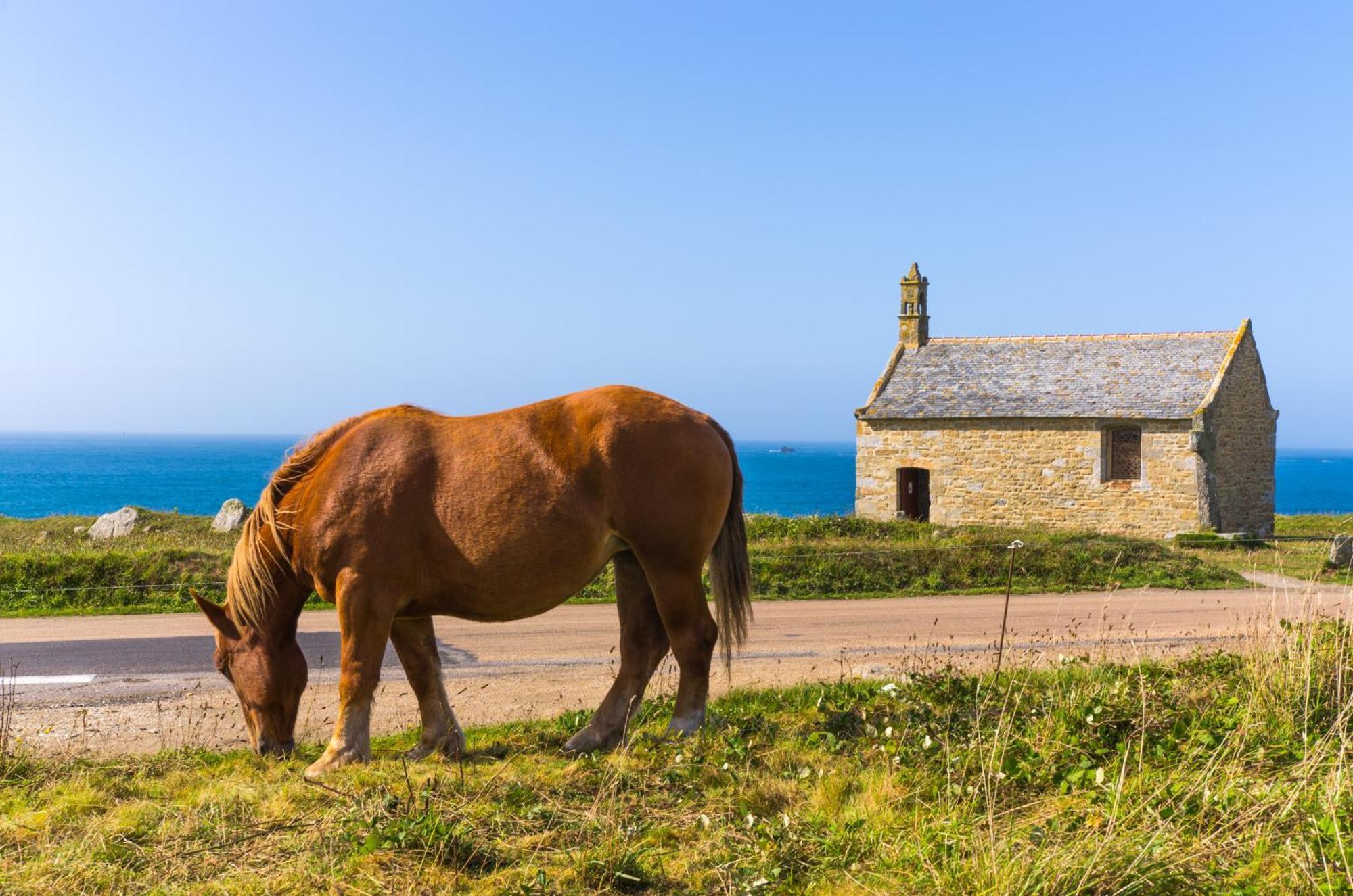 Holiday home Ty Mor Bras - Maison Familiale A 2 Pas De La Portsall